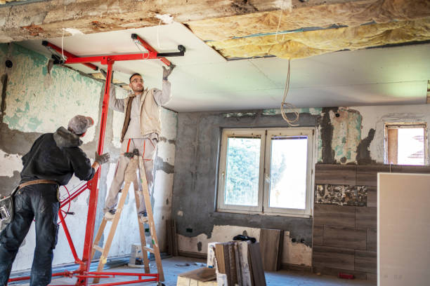Best Cellulose Insulation  in Park City, KS