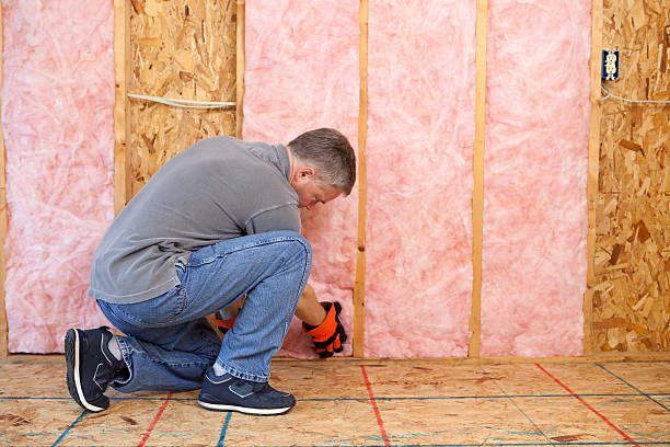 Best Home Insulation Services  in Park City, KS